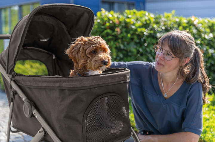 TRIXIE Katzen- und Hundebuggy bis 20 kg